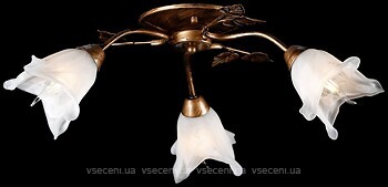 Фото Splendid Ray L10118/3