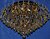 Фото Splendid Ray L0700/9