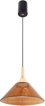 Фото Brille BR-01 483S/1 LED 10W G/BK (27-125)