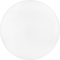 Фото BIOM DL-R102-24-6 24W-6200K (00-00023291)