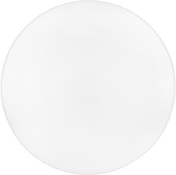 Фото BIOM DL-R102-24-6 24W-6200K (00-00023291)