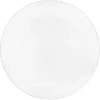 Фото BIOM DL-R102-80-5 80W-5000K (00-00023380)