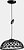 Фото Brille BL-1003/24W WW BK (29-486)