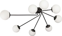 Фото Levistella 7529803-8 BK+WH