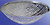 Фото Brille BCL-099S/10 (186181)