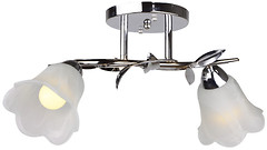 Фото Brille LK-364S/2 E14 CH