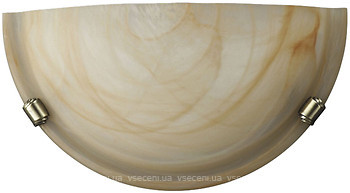 Фото Massive 81748/01/43