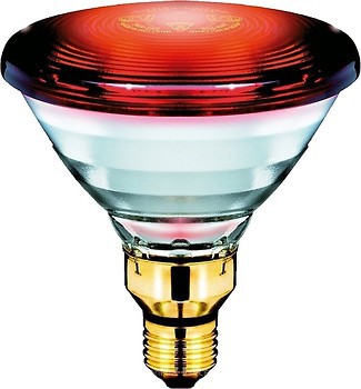 Фото Philips Infrared PAR38 150W 230V E27 red (871150012887415)