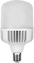 Фото Violux Tornado 100W 6500K E40 (910092)