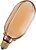 Фото Osram LED Vintage 1906 Globe 100 Filament O Lamp DIM 4W 818 Gold E27 (4058075846005)