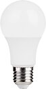Фото Grunhelm Long-Life R2.0 A60 12W 3K E27 (149208)
