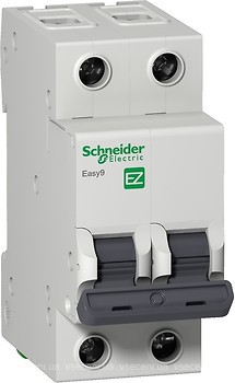 Фото Schneider Electric Easy 9 (EZ9F14220)