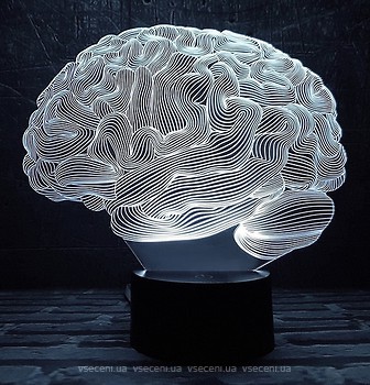 Фото 3D Toys Lamp Мозг
