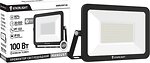 Фото Enerlight Mangust 100W 6500K