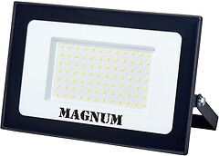 Фото Magnum FL 12 ECO 100W slim (90018087)