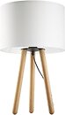 Настольные лампы и светильники TK Lighting