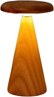 Фото Gingko Sylva Table Lamp (G056M-AH)