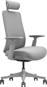 Фото Adapwork ErgoChair M3 Middle