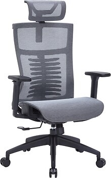 Фото OfficePro Balance OC620