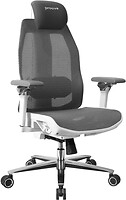 Фото Proove Founder