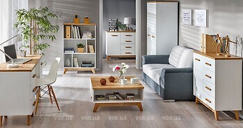 Фото Dolmar Sven 1