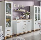 Фото Dolmar Sven 6