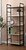 Фото Step Loft Rack-168