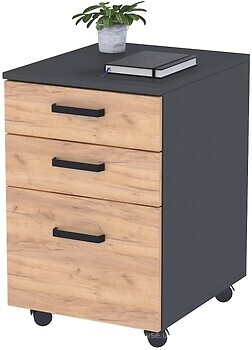 Фото Loft design NT-3S-42-65/NT-3SL-42-65