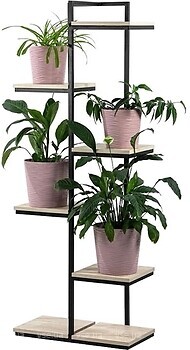 Фото Step Loft Stand-Flower-310