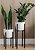 Фото Adore Decor Британские (BRbK-gW25)