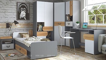 Фото Dolmar Carini 3