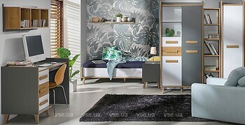 Фото Dolmar Werso 1