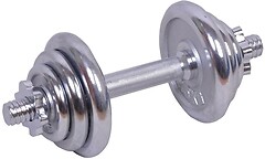 Фото Spartan Sport хромированная гантель 10 кг