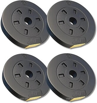 Фото Besport диски 4x2.5 кг