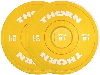 Фото Thorn FIT Fractional 2x3 кг
