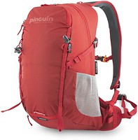 Фото Pinguin Rider 25 red