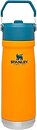 Фото Stanley Go IceFlow Flip Straw 650 мл Saffron (6939236382762)
