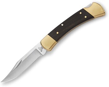 Фото Buck Folding Hunter (0110BRS-B)