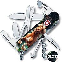 Фото Victorinox Climber Zodiac (1.3703.3_Z5300pk)