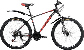 Фото Cross Forest 29 (2025)