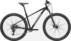 Фото Cannondale Trail 2 29 (2025)