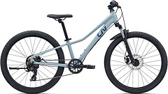 Фото Giant Liv Tempt Disc 24 (2026)