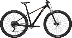 Фото Giant Liv Tempt 4 29 (2026)