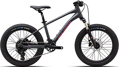 Фото Polygon Xtrada 20X308 20 (2026)