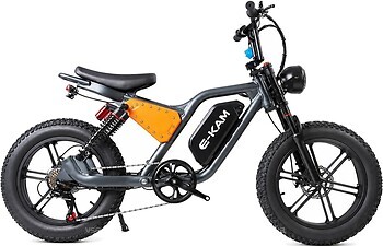 Фото E-Kam 20 1500W 48V 24Ah 24