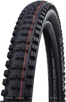 Фото Schwalbe Big Betty HS 608 29x2.40 (62x622) Evo Super Trail TLE B/B-SK (TIR-51-74)