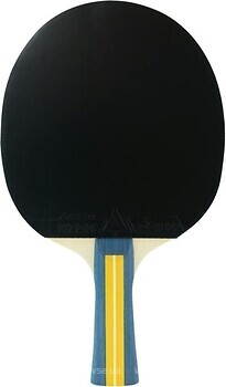 Фото Joola Team Master 52001