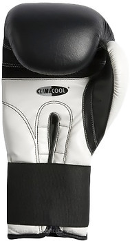 Фото Adidas Performer Boxing Gloves (ADIBC01)