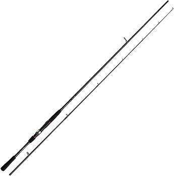 Фото Daiwa Seabass Flat X 96M 2.9m 10-50g