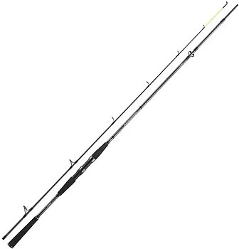 Фото Daiwa Seahunter X 2.70m 30-60g